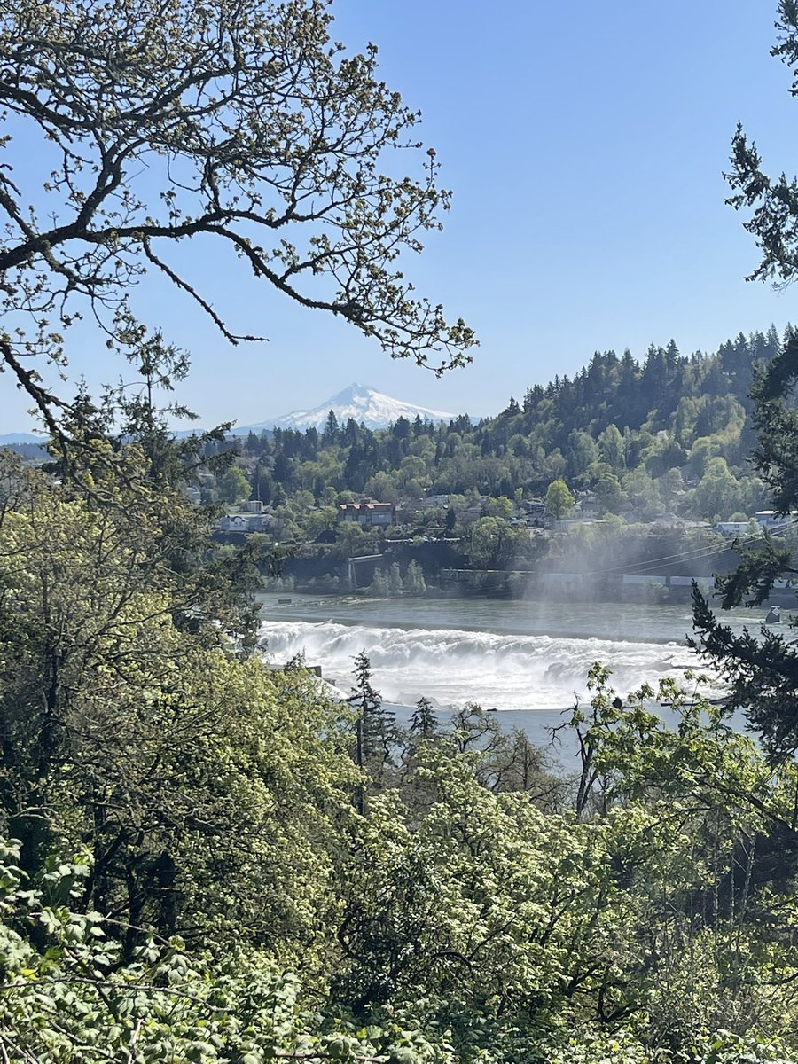 Karli Olson tweet media