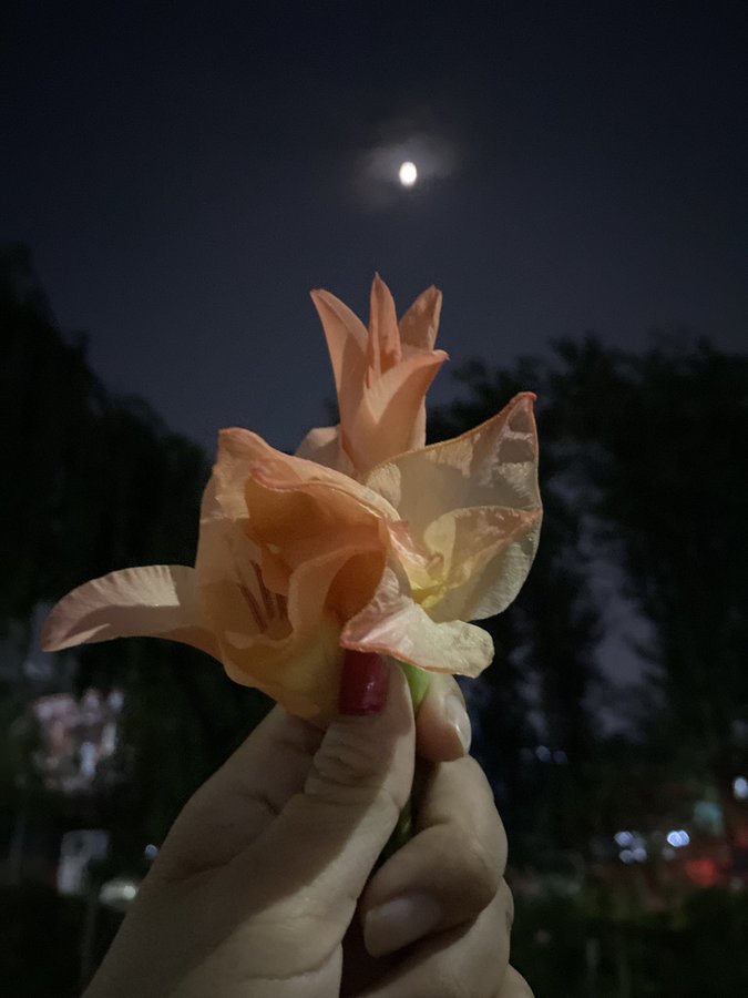 ✍️आज २०८१ साल वर्षको अन्तिम दिन कुनै कारणले चित्त दुखाएको रहेछु भने माफी पाउँ!भोलि २०८२ सालको वैशाख १ गते देखि नयाँ स्वरूपमा प्रस्तुत हुने जानकारी गराउँद छु।हाम्रो सम्बन्धमा अझ धेरै सुमधुर भाव होस् ! नयाँवर्षको शुभकामना !🎉🎉