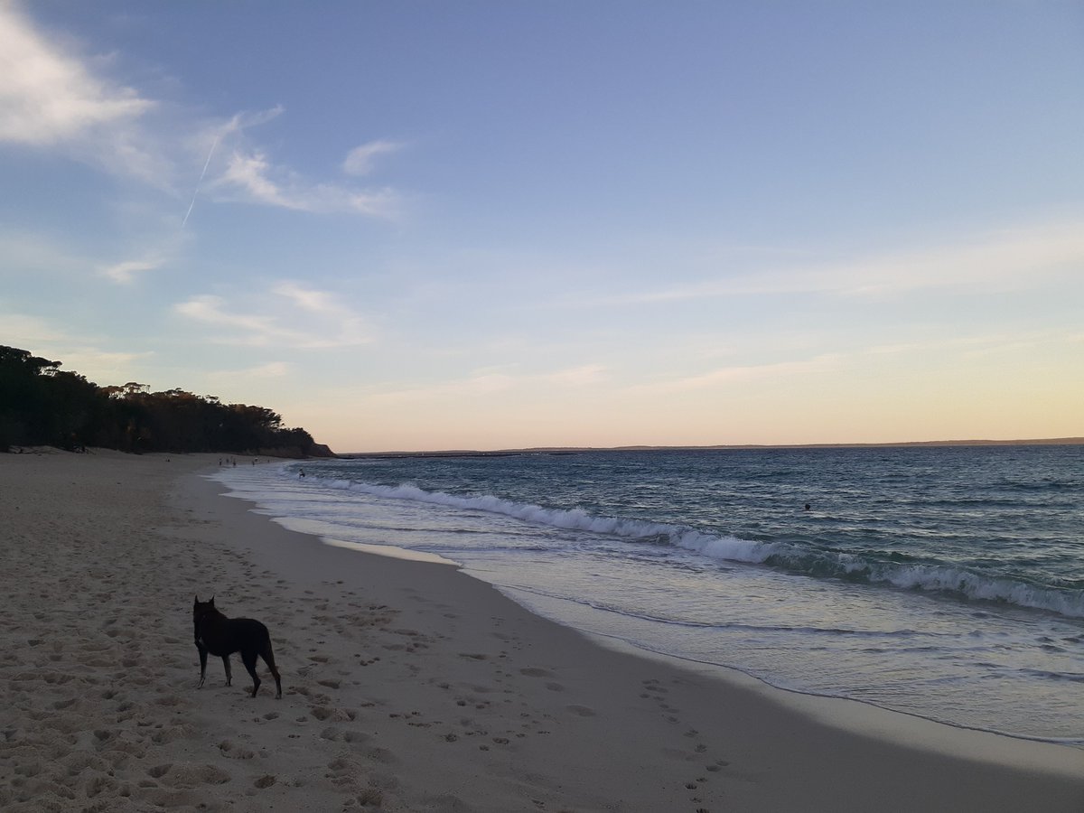 Will says the beach was good.