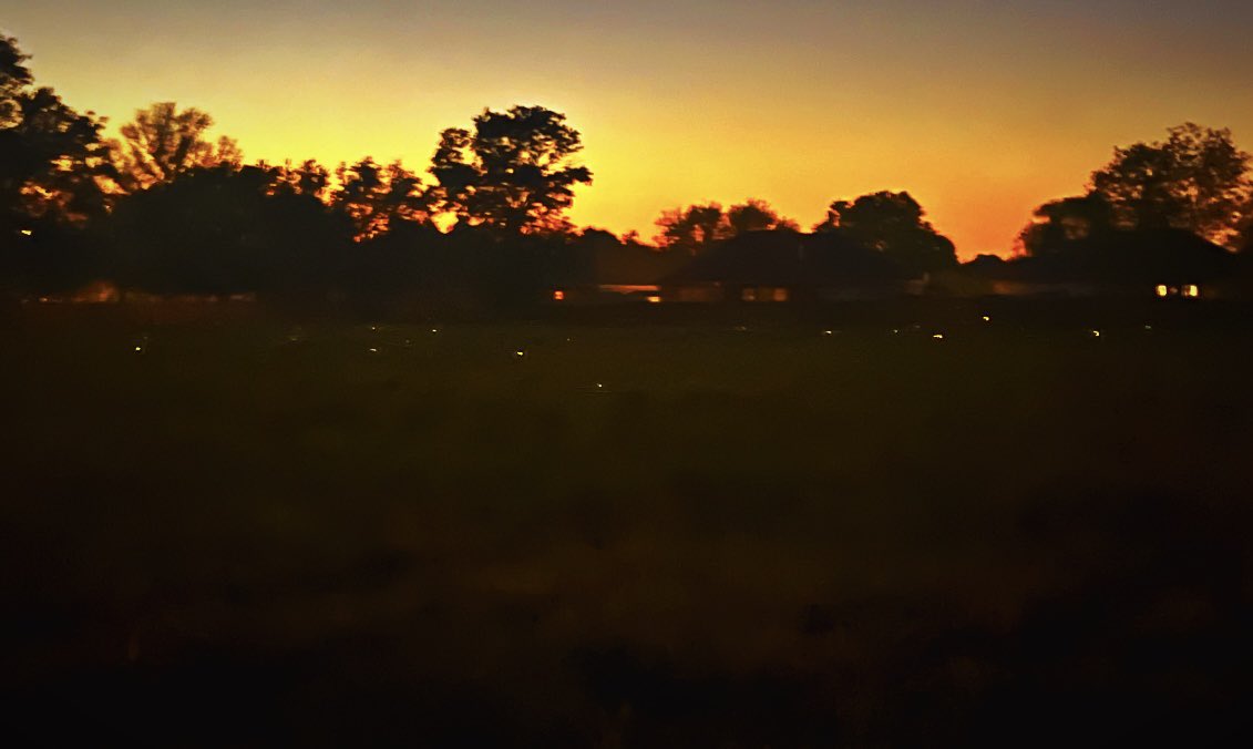 Last night fireflies lit up the field behind my house. It had to have been hundreds! Truly magical looking. ✨