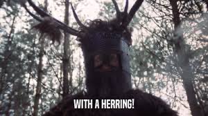 Hayden Walker tweet media