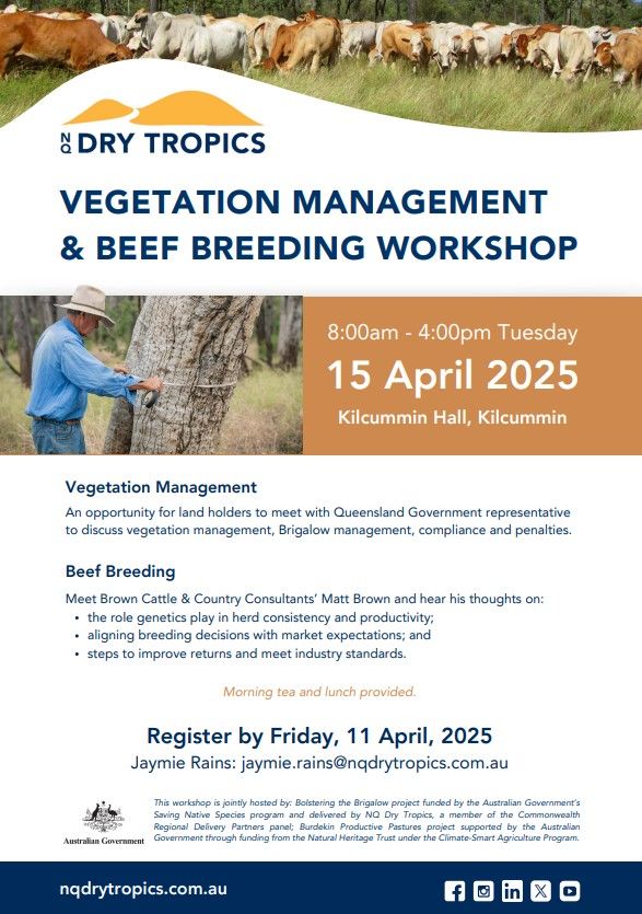 FutureBeef tweet media