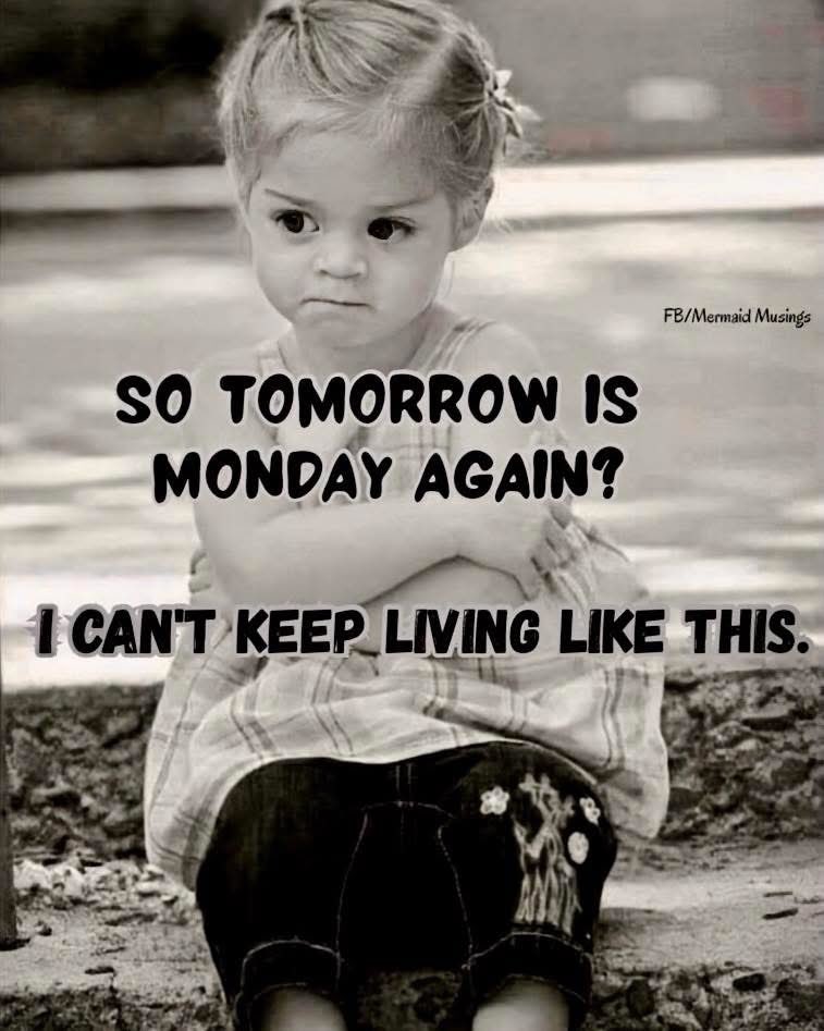 ThePhilosopurr's tweet image. #Smonday 

Sigh….