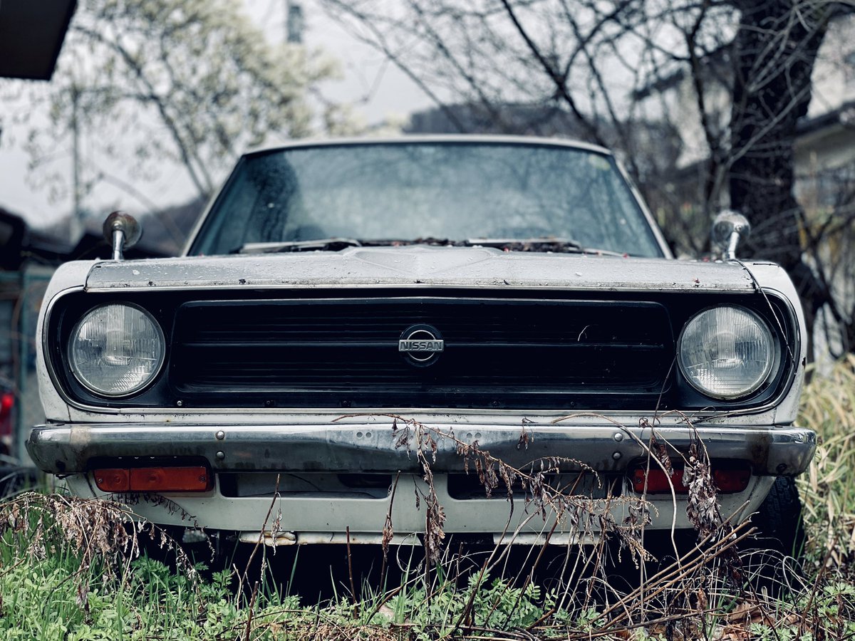 ngmn_alikick's tweet photo. 朝ウォーキングで見つけた
#旧車 #クラシックカー #ウォーキング #vintagecar #nissansunny #classiccar #moodygrams #urbanexploration
#rainydayshots #foundbeauty #fendermirror #rustandromance #timelessbeauty https://t.co/SHIJ1qlmuC