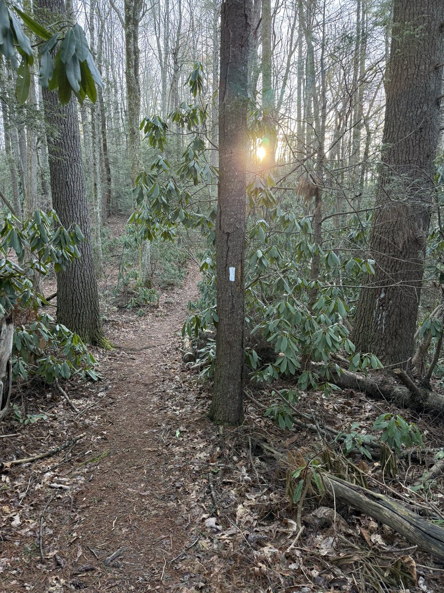 Got in some miles on the A T today.