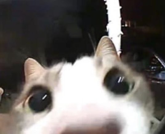 ⠀⠀      
     YES. :)