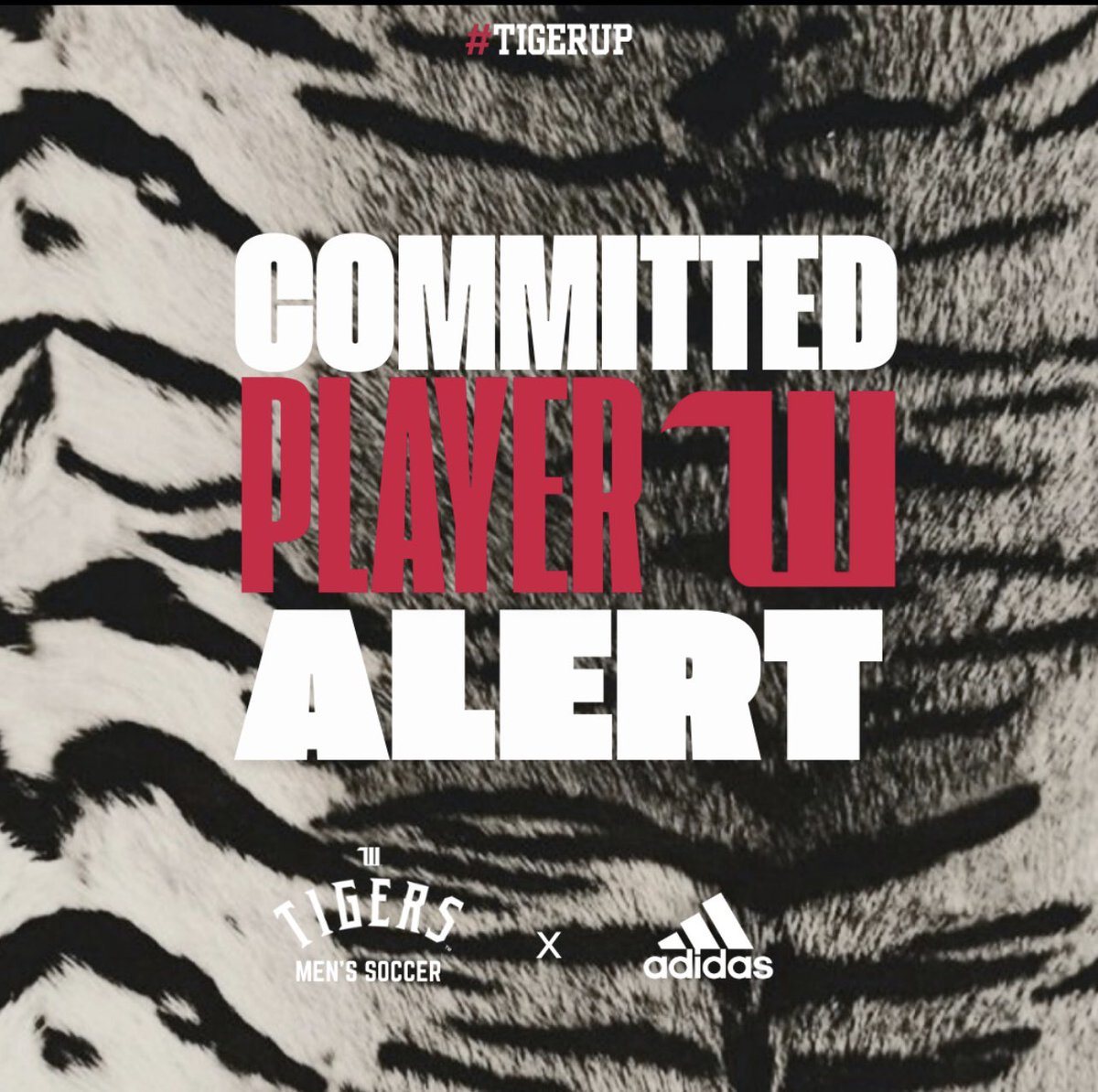 WittMensSoccer tweet media