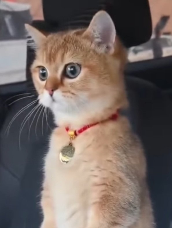 Hayatımdaki en yoğun dönemlerden birine gireceğimi fark ettim