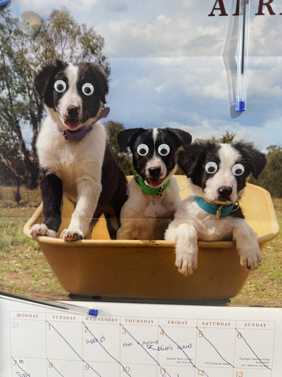 Glad to see daughter number 1 inherited her father’s sense of humour. Messing with mums calendar 😂