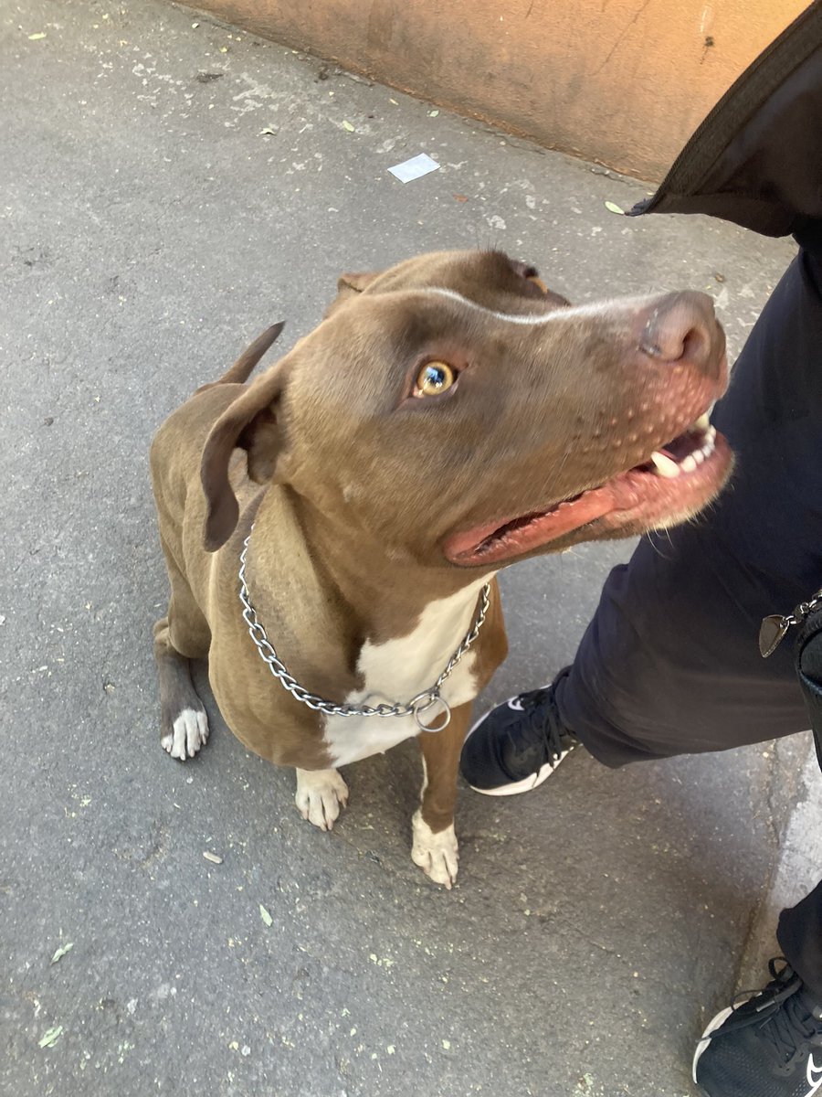 Nathalie Gras Allain tweet media