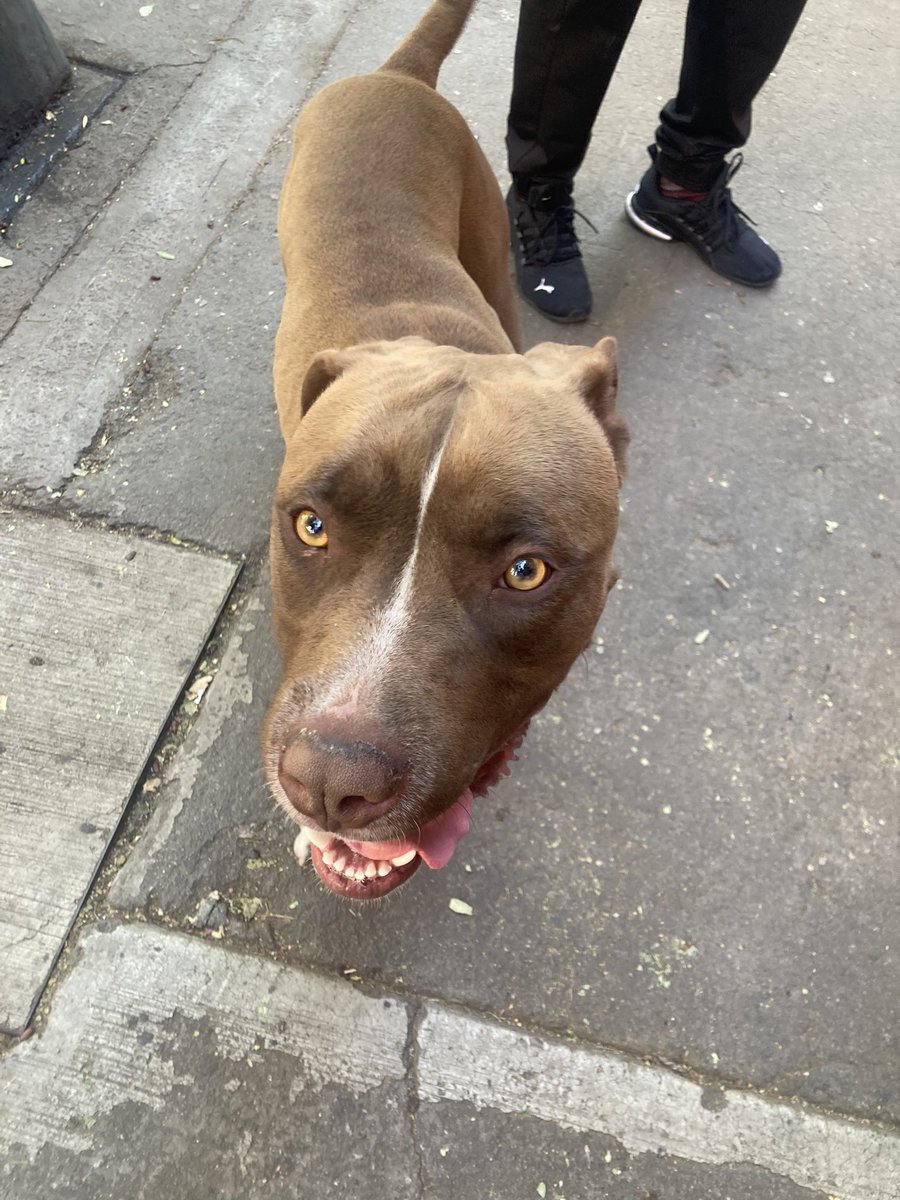 Nathalie Gras Allain tweet media