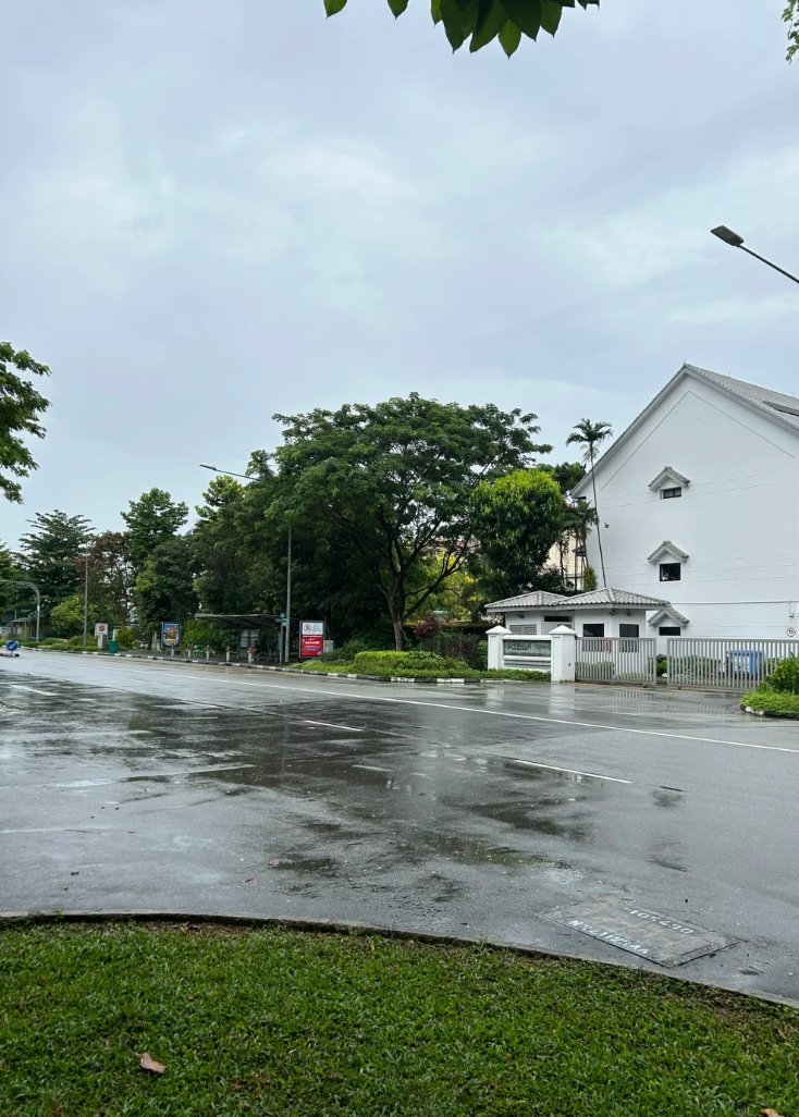 雨上がりの爽やかな朝