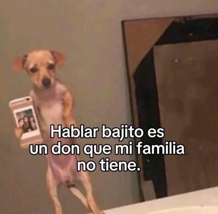 Salvador Iglesias Jr (@javisness) on Twitter photo 