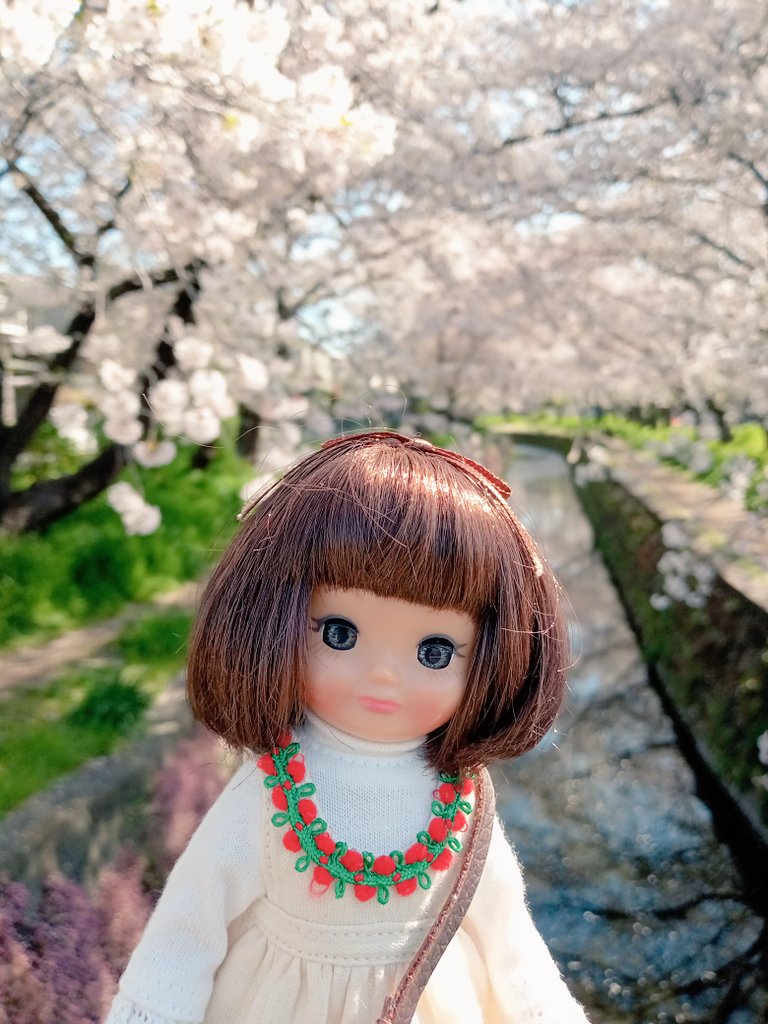 27272272722's tweet photo. 2025/04/09📷撮影
🌸桜とかなこちゃん

#tinybetsy https://t.co/uIaTucE43H