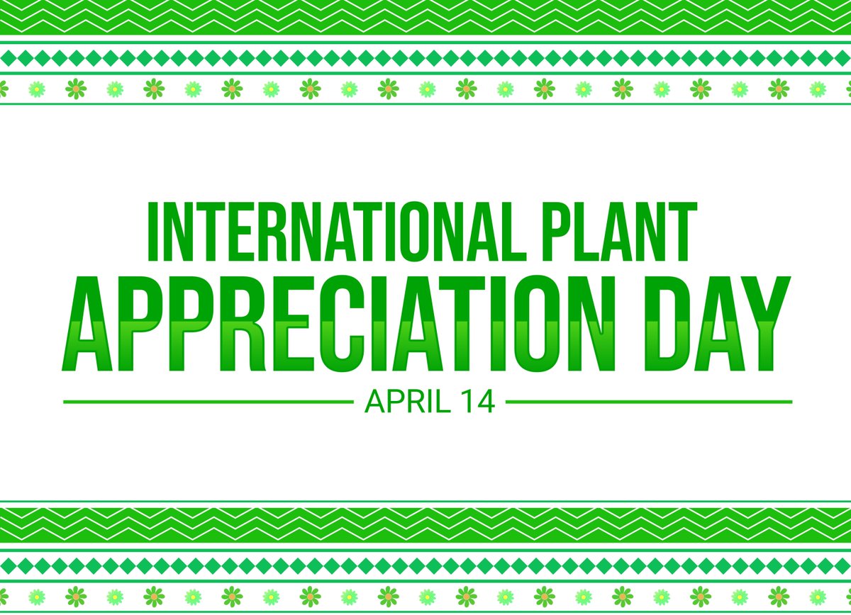 In honor of International Plant Appreciation Day - Pamper your indoor plants! Don’t have any? Well, what are you waiting for? Go out and buy some. They really do bring great benefits to your home!