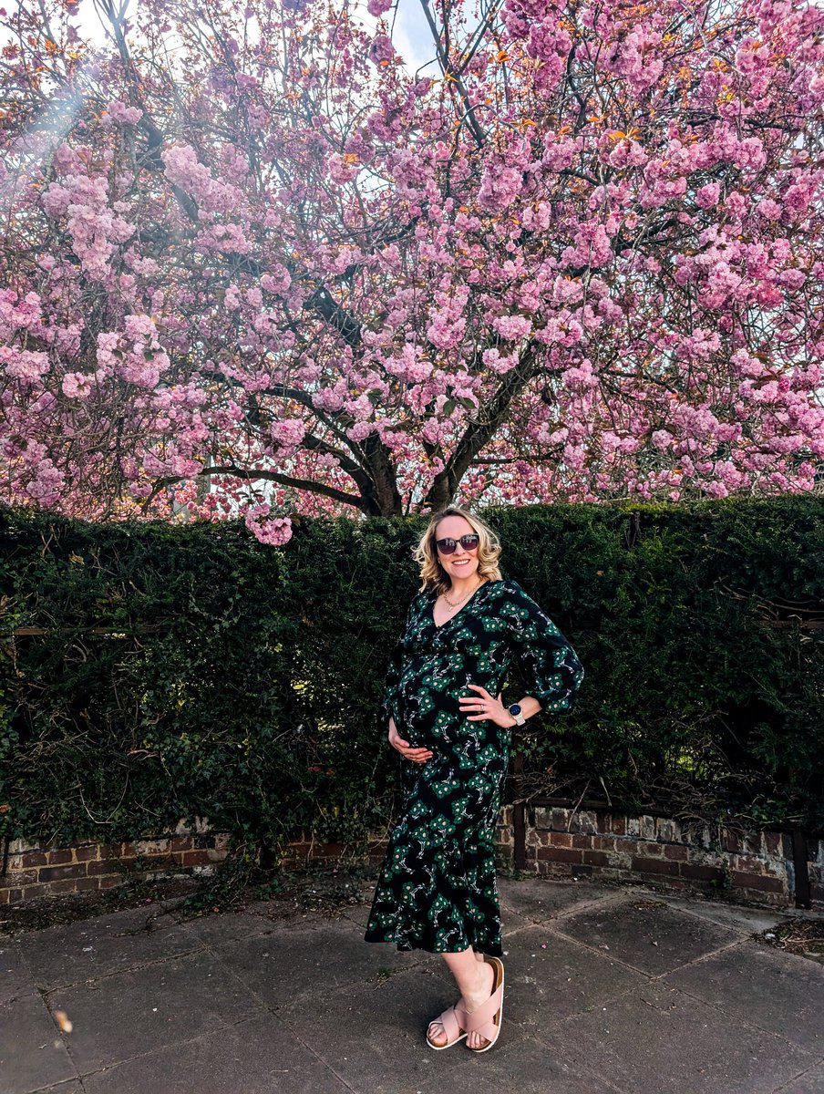 SophieLB1's tweet photo. This blossom is everything 🌸 #readytopop https://t.co/IvdK2atVsn