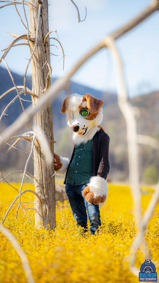 Blue Hasia Photography (@bluehasia) on Twitter photo 