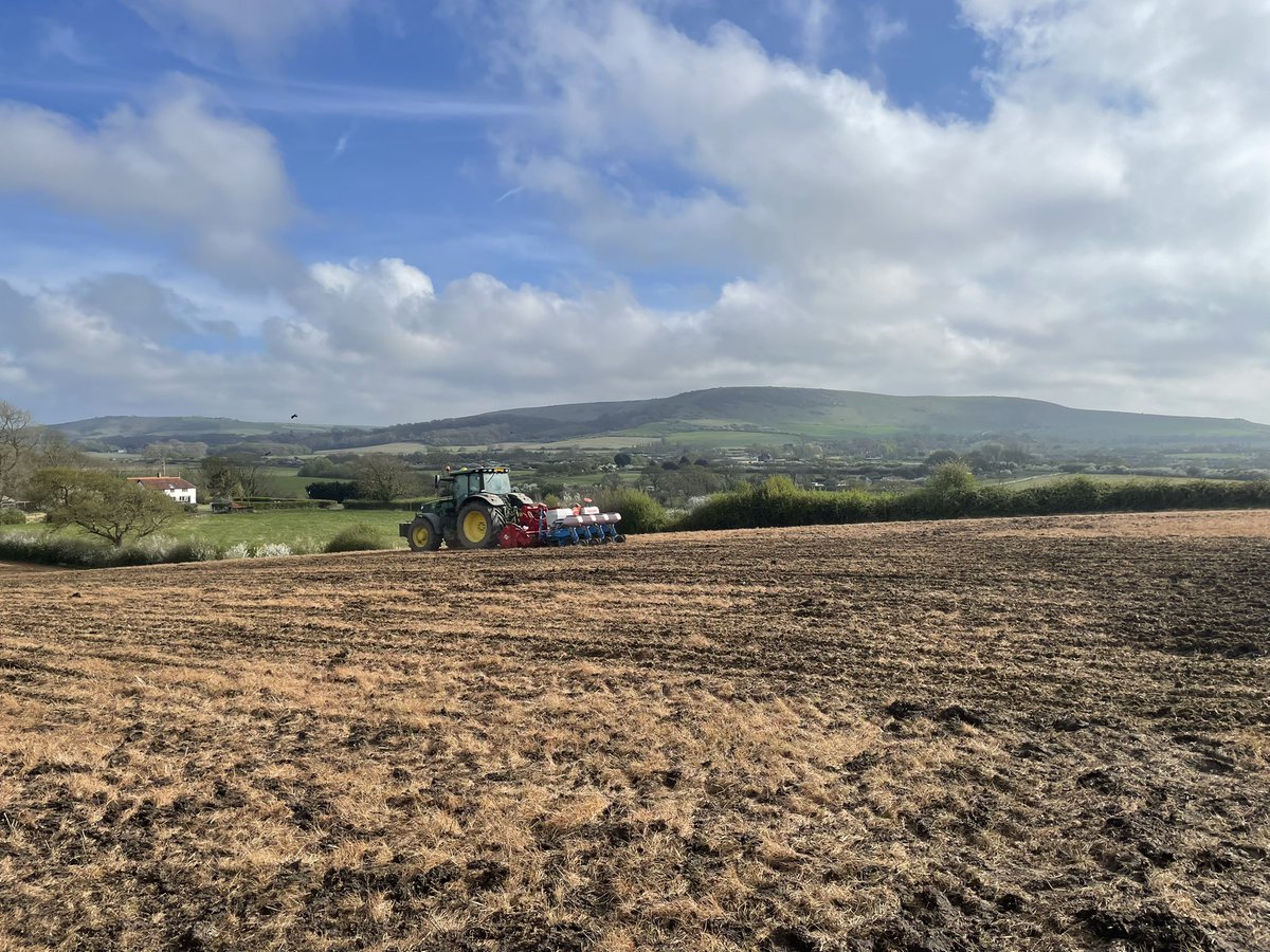 Chris Appleton tweet media