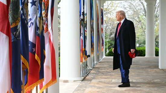 only one tweet media