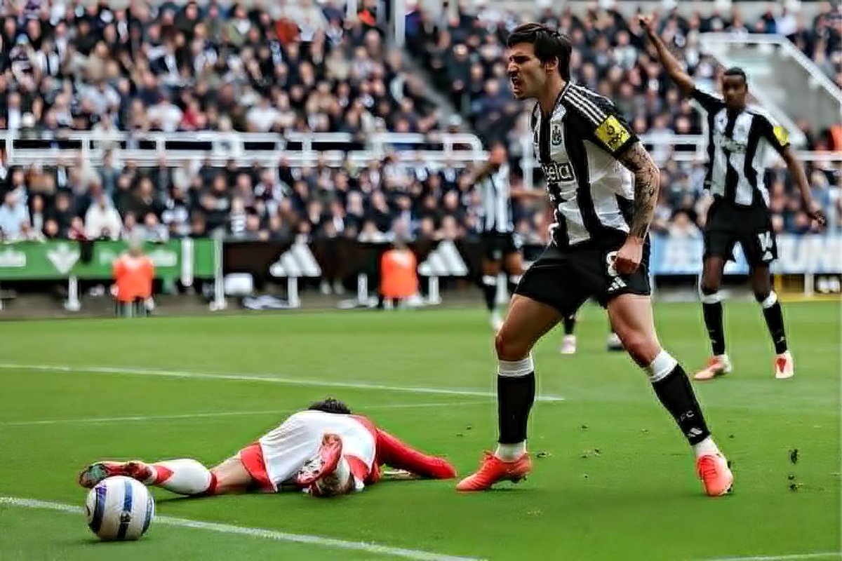 NUFCblogcouk's tweet image. This moment from Sandro Tonali! 😍
A photo that sums up this team, our desire to press, win duels and bounce off the crowd when we're 'at it' at St James' Park.
Absolutely love it.
#NUFC