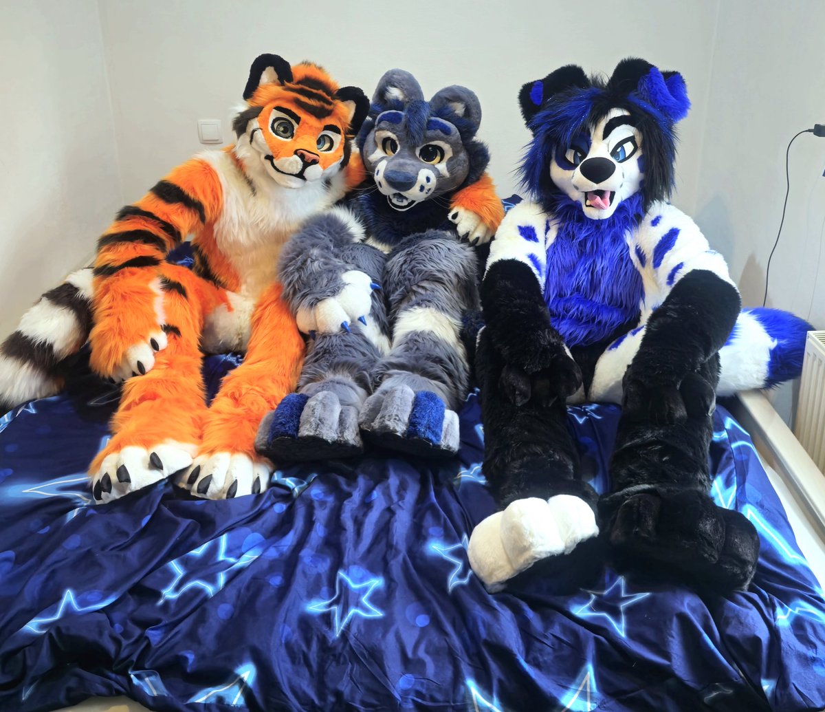 Me and my homies 🧡🩶💙

🐯 <a href="/Lucanio_/">Luca Tiger 🇩🇪</a> 
🦁 <a href="/KhatuLion/">Khatu ❄️</a> 
🐶 Blaupunkt 

✂️ <a href="/FurryMachine/">Furry Machine 🇧🇷</a> 
✂️ <a href="/DontHugCacti/">🌵Don't Hug Cacti LLC🌵</a>
