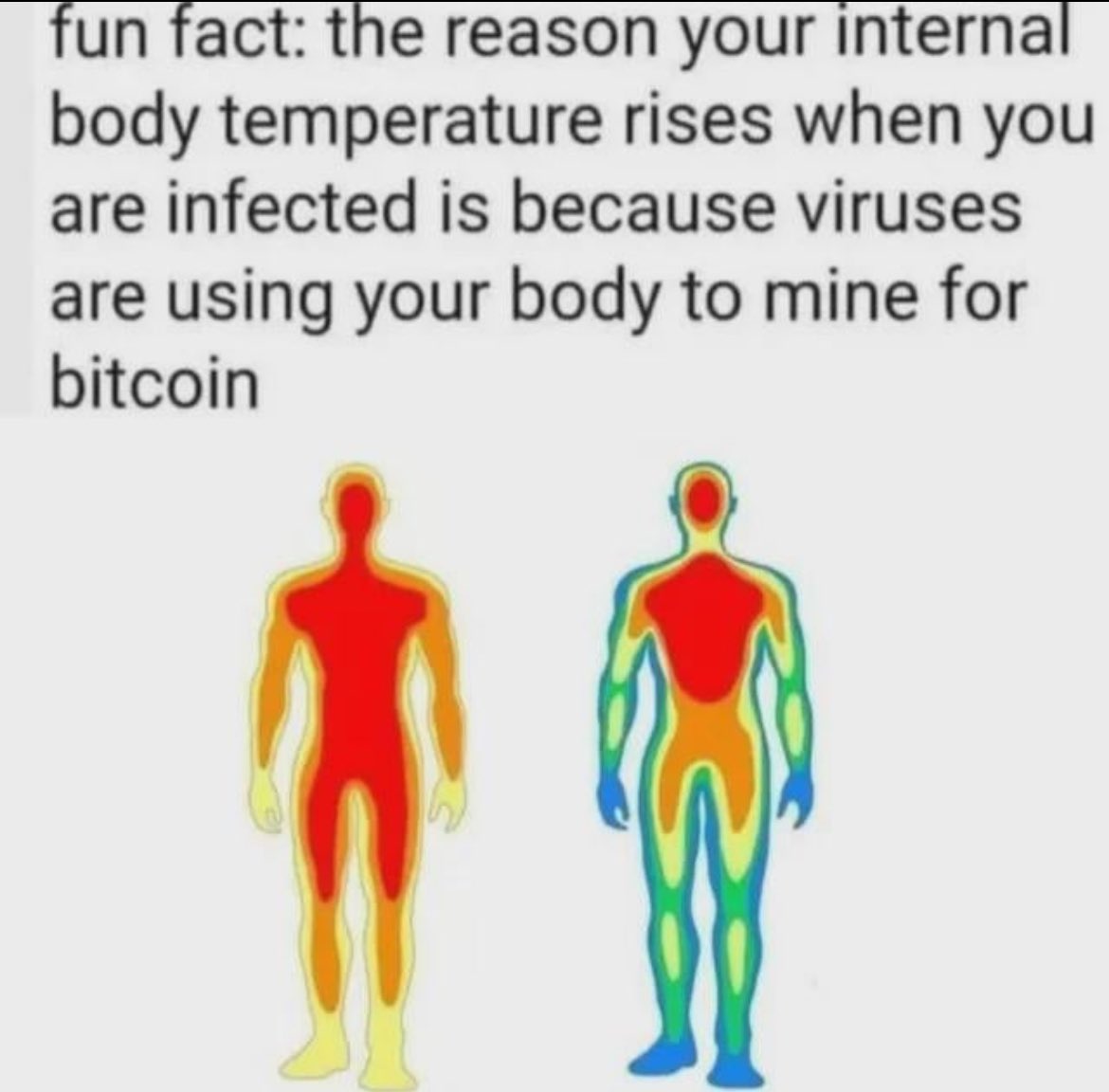 Pain Point tweet media