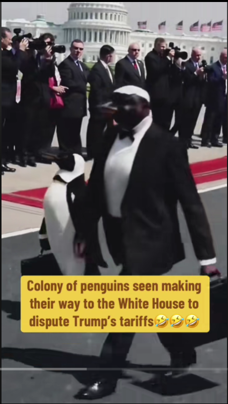 Shakaama's tweet photo. NARRATOR: turns out the penguins actually came to the table to negotiate a more favorable trade deal with President Trump.
Now who's laughing?
#Trump #TrumpTariffs #PenguinTariffs Ivermectin Robert DeNiro Hunter #tariffs #TariffWar #PresidenteBukeleEnLaCasaBlanca #Australia https://t.co/LknyAhGaWK