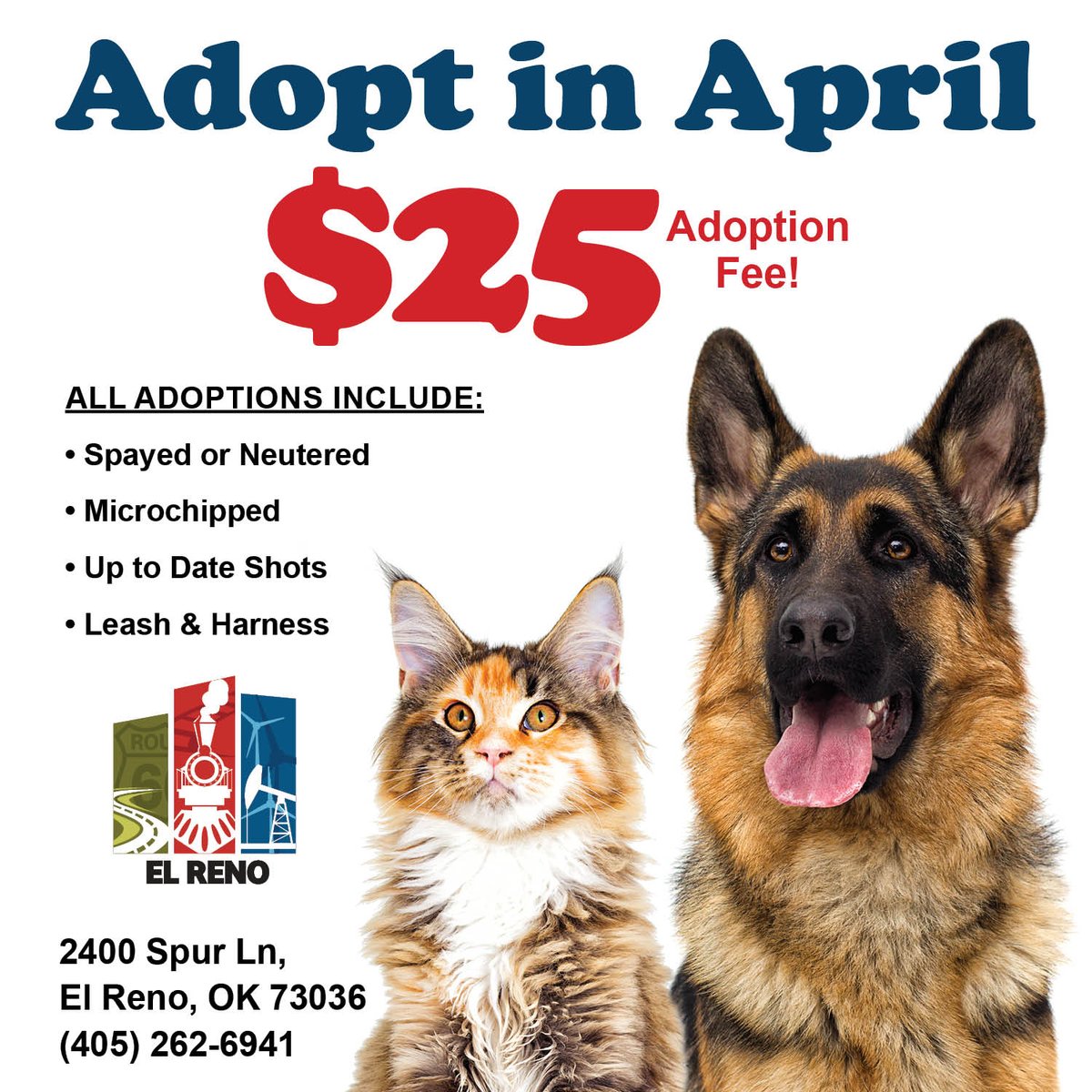 🐾 Our shelter is full of loving pets longing for a second chance. 
🐶🐱 All April, adoptions are just $25 — includes spay/neuter, microchip, vaccines, leash &amp; harness.
📍 2400 Spur Ln | 🕗 Mon–Fri 8–5
📞 405-262-6941
#AdoptDontShop #ClearTheShelter #SecondChances