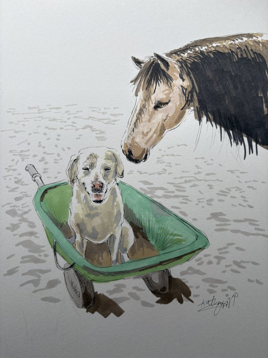 Luna is everyone’s friend 

DM me to order a portrait from one of your favourite photos of your pet ❤️