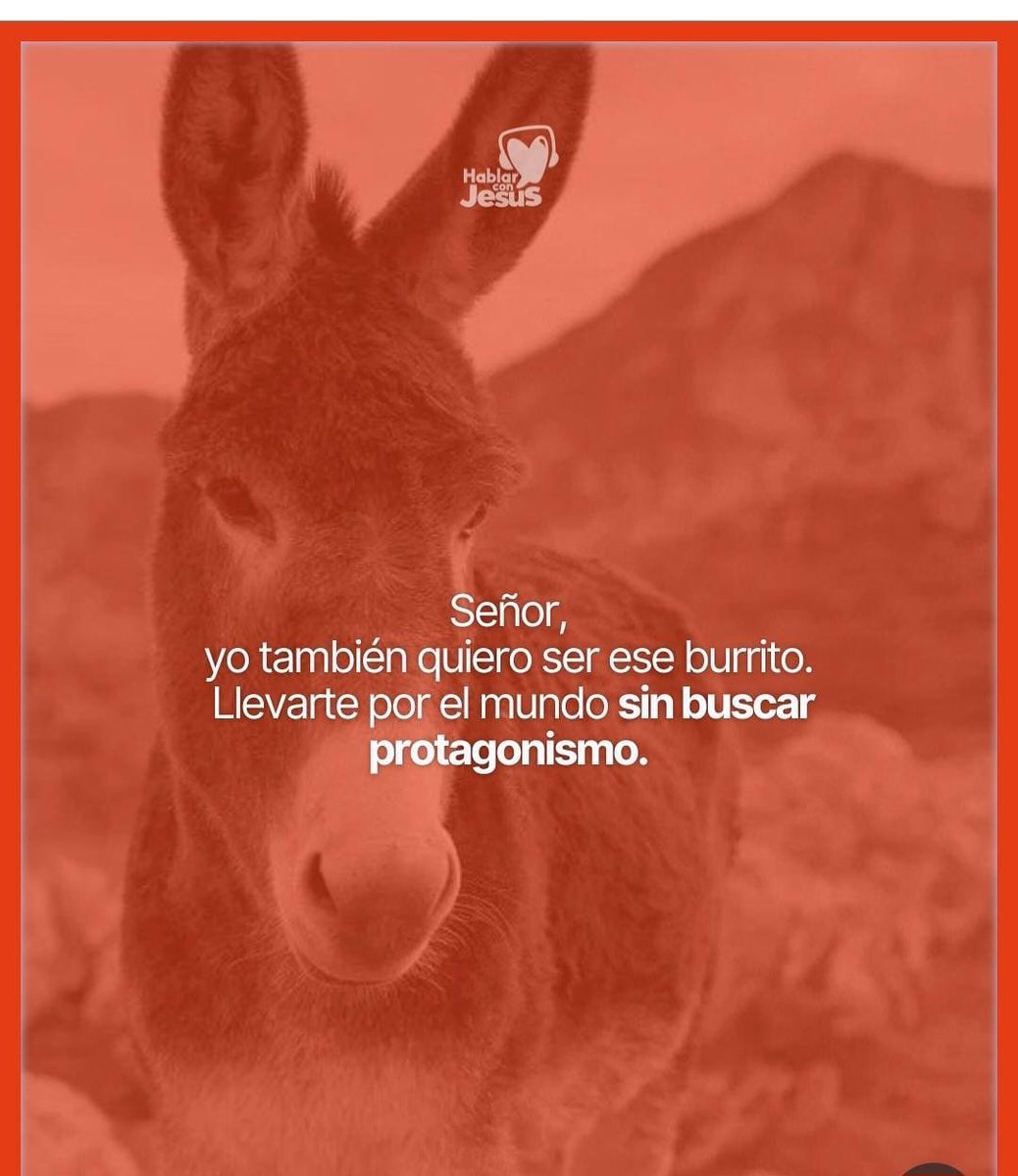 Feliz Domingo de Ramos!