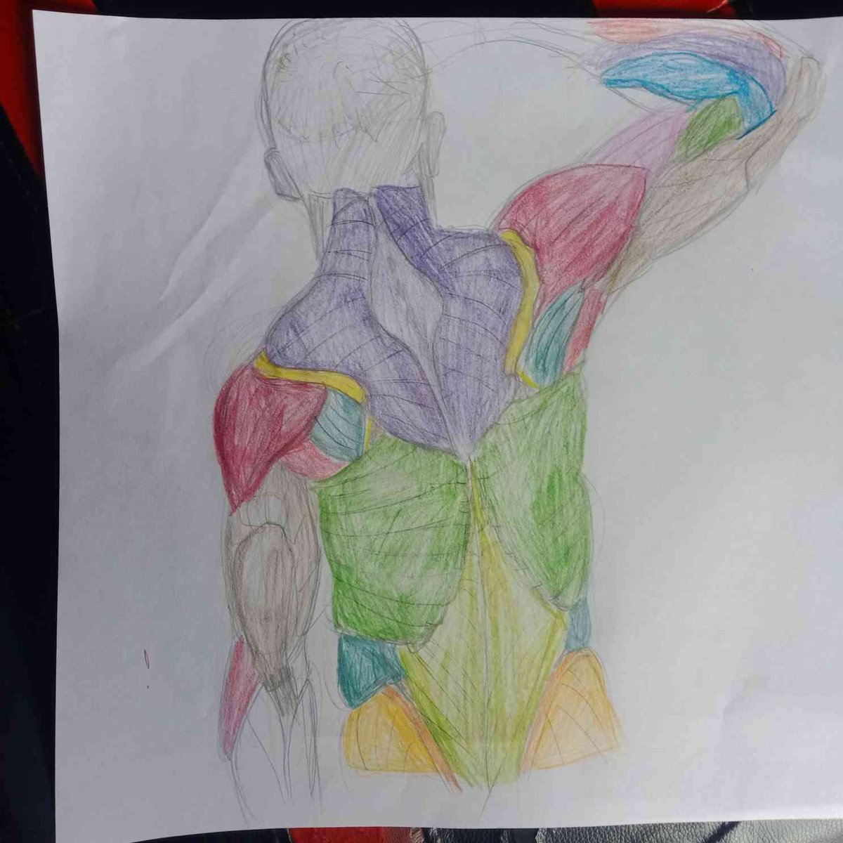 Tabaka1773 tweet media