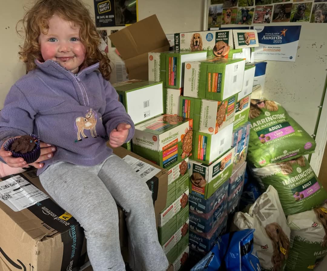 Another day another delivery, the Amazon driver is starting to feel like part of the family 🤣 Eternally grateful to everyone who has donated, we really are overwhelmed by your kindness. Today over 60 bags of food were delivered &amp; lots of other things as well!! Thank you 🩷