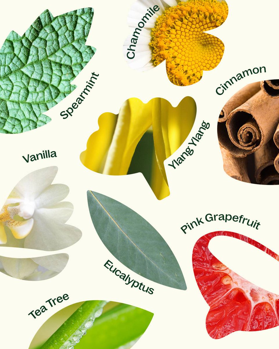 Organic Sweet Orange is one of our go-to feel-good scents and we love it even more in blends!✨️🍊 Want to brighten things up? Try pairing it with one of these essential oils for an extra uplifting vibe. Which combo would you try first?🧡