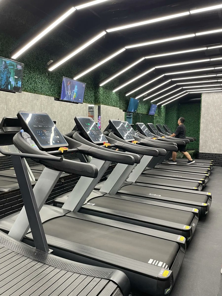 WordechoBridge tweet media