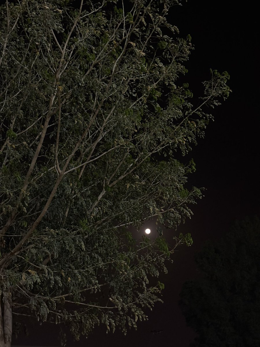 Abdulrahman tweet media