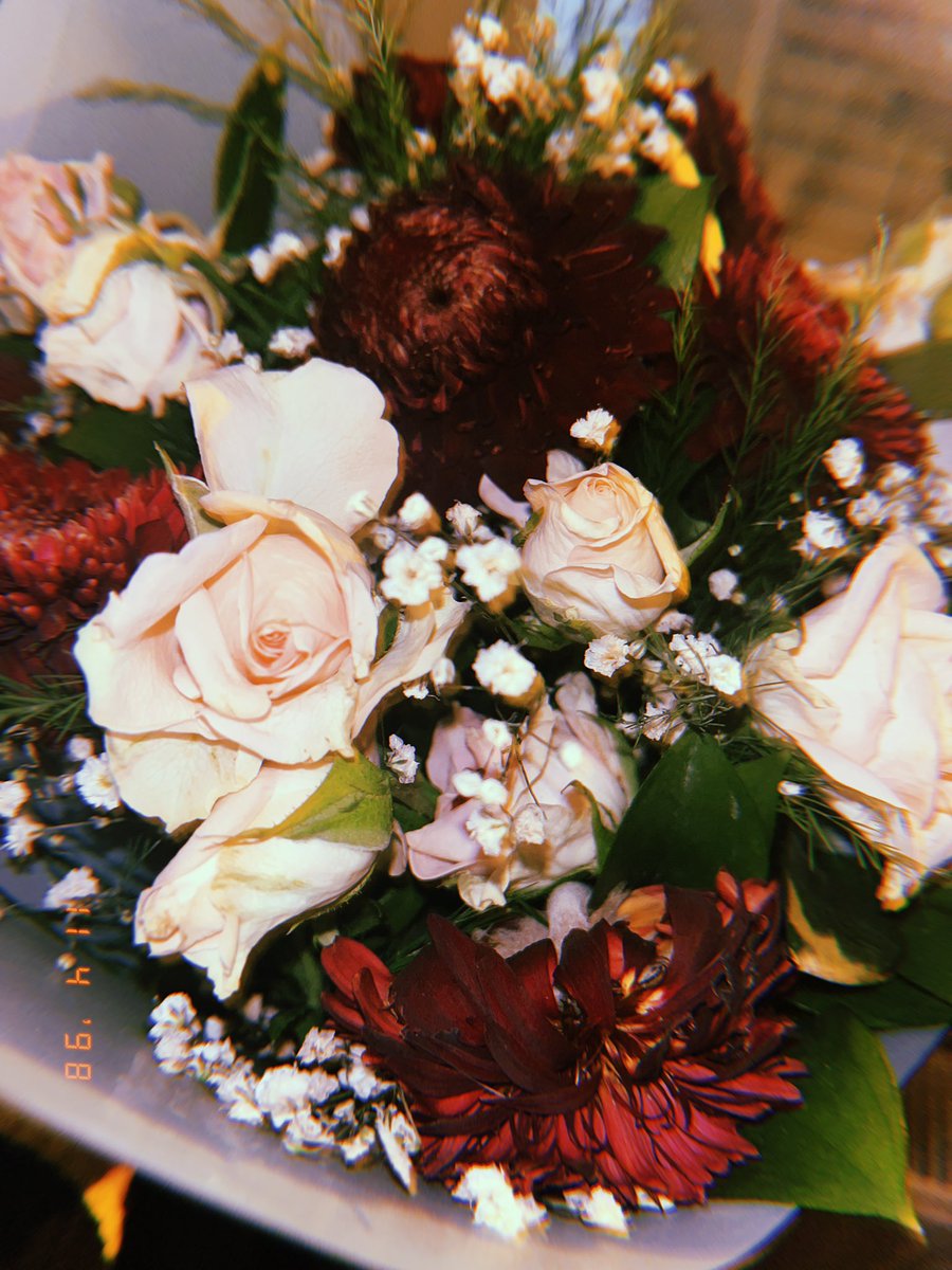 niightglow's tweet photo. 🧡 https://t.co/0R6W9LHEA1