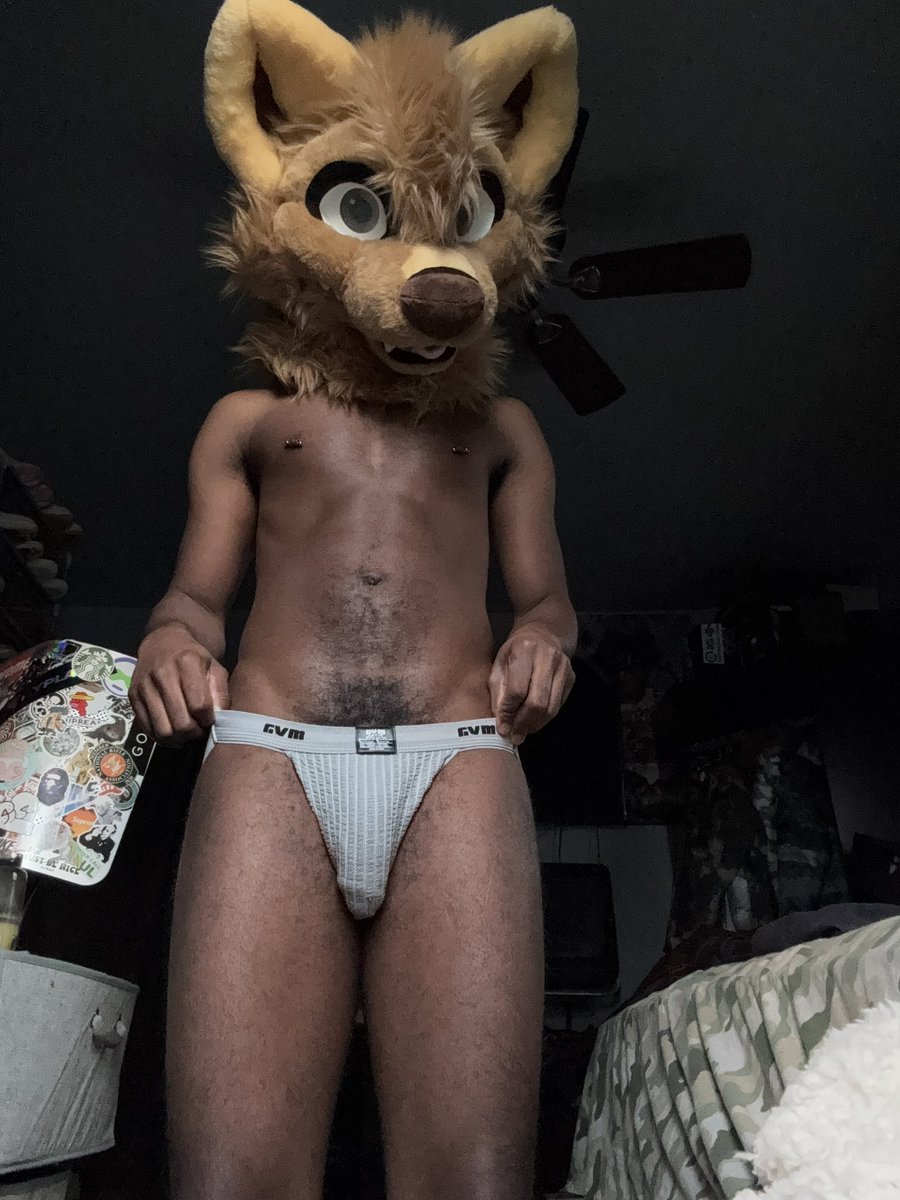 gay_porn_repost's tweet photo. Y'all want more horny dog jockstrap content? #Murrsuit #nsfw #anthrocon #gay https://t.co/NxRUUg09Bv