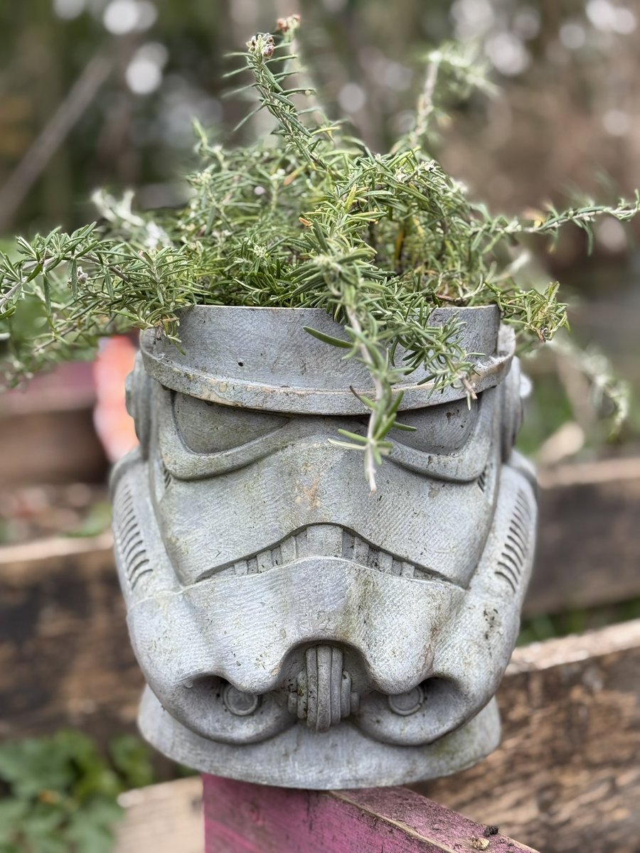 I’m not sure what I like more. Gardening or Star Wars…

#GardeningX #GardeningTwitter #StarWars
