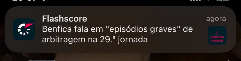 brunaamgr_'s tweet photo. rabolhos a falar de arbitragem é como o ladrão a queixar-se que lhe roubaram a carteira 😭😭😭 https://t.co/CKf3qs23Hk