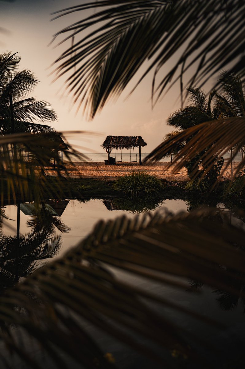 FloreMaquin's tweet image. Vietnam ✨