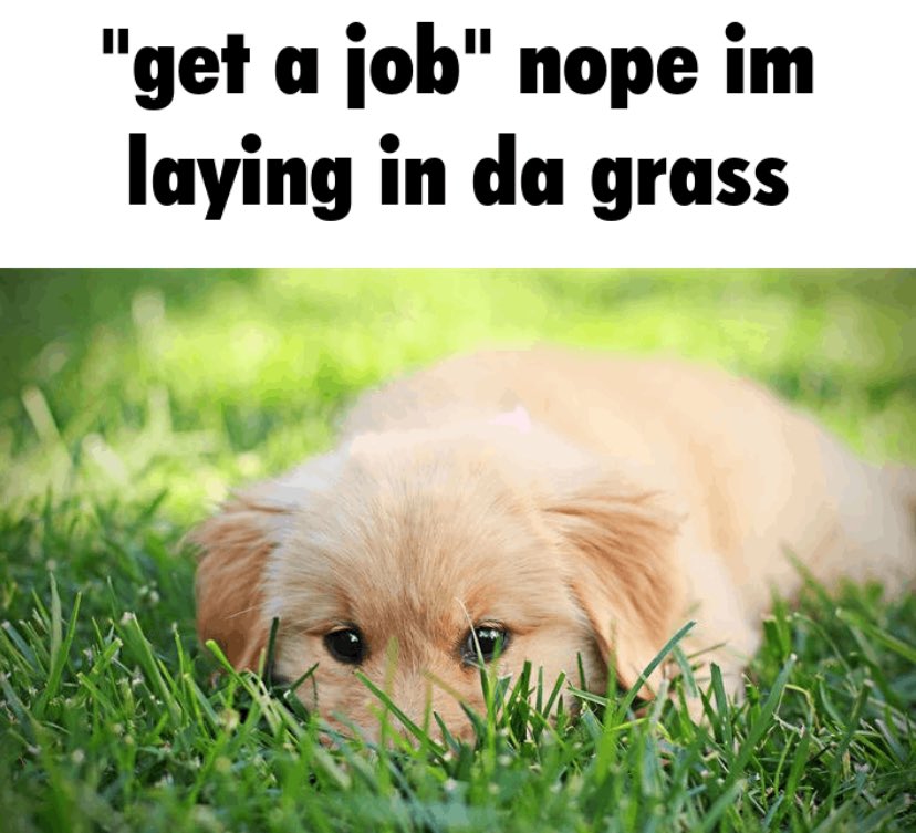 imsoeepy's tweet photo. i really liked this so I made a puppy version https://t.co/EPRRn1rkGD