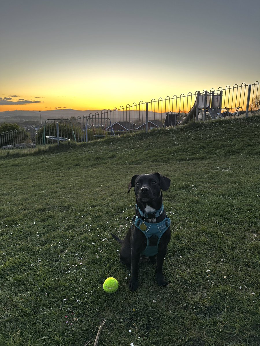 Sam Clark tweet media