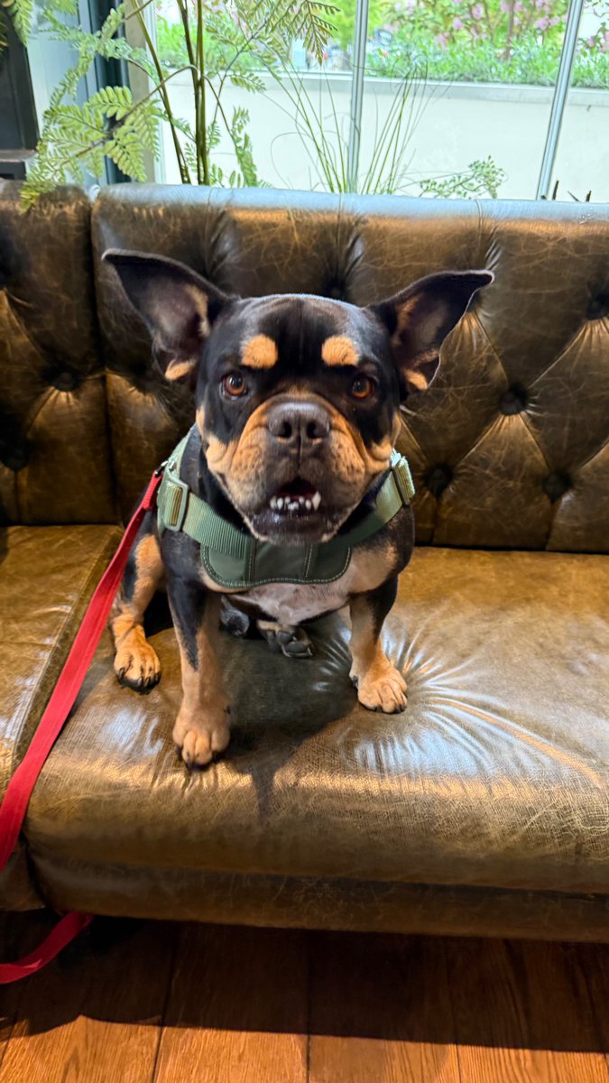 Vinnie Bones tweet media