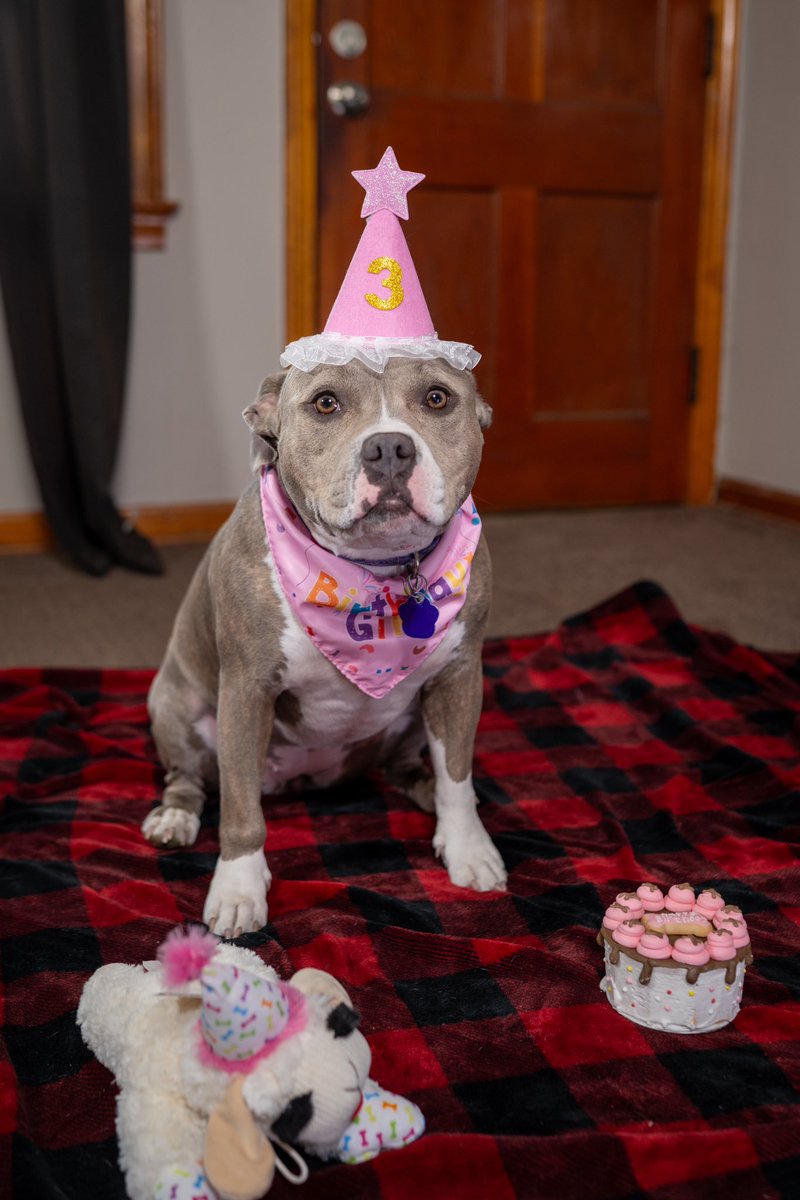 KevMPatrick's tweet photo. My nugget turned 3 today. https://t.co/4wvSxqzi01