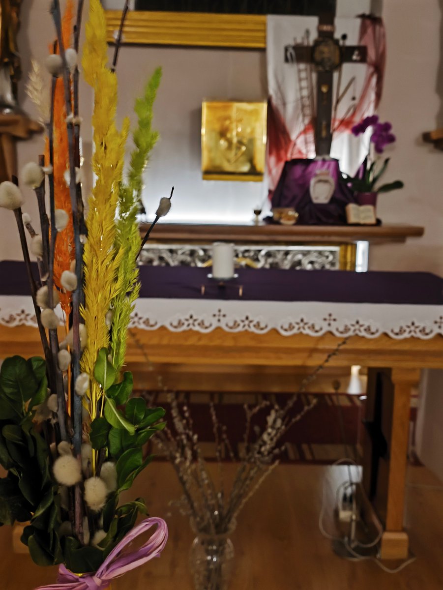 sm_andrzeja's tweet photo. Niedziela Palmowa https://t.co/K6CuTXs5H3