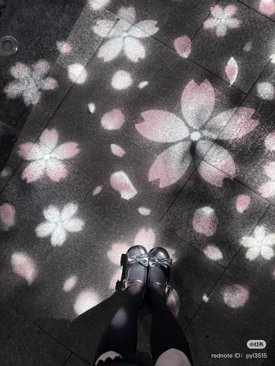 heartipink's tweet photo. cherry blossom lights on the ground https://t.co/GdXgkUksSM