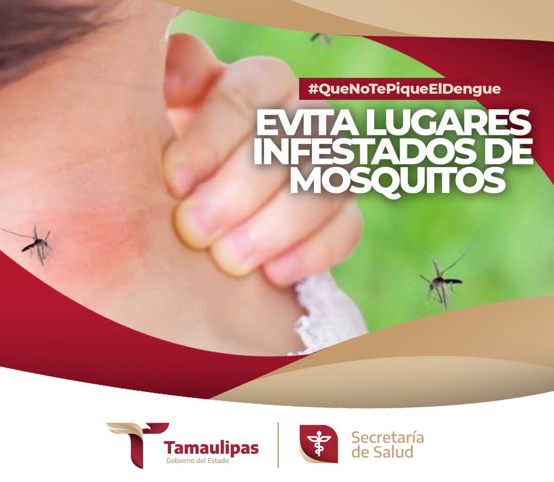 TamaulipasSalud's tweet photo. Evita la picadura del mosquito transmisor del dengue:

• Cubre la piel expuesta con camisas de manga larga, pantalones y sombreros.
• Usa repelente como se indica y reaplica como se sugiere.
• Coloca mosquiteros en puertas y ventanas.
• Evita lugares infestados de mosquitos. https://t.co/OImv8I3Tly