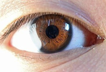 cyra981355's tweet image. "Pig eye vs human eye"