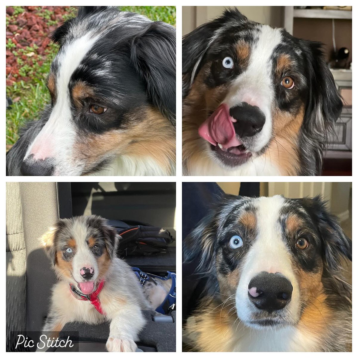 🎶 Pam 🎶 tweet media