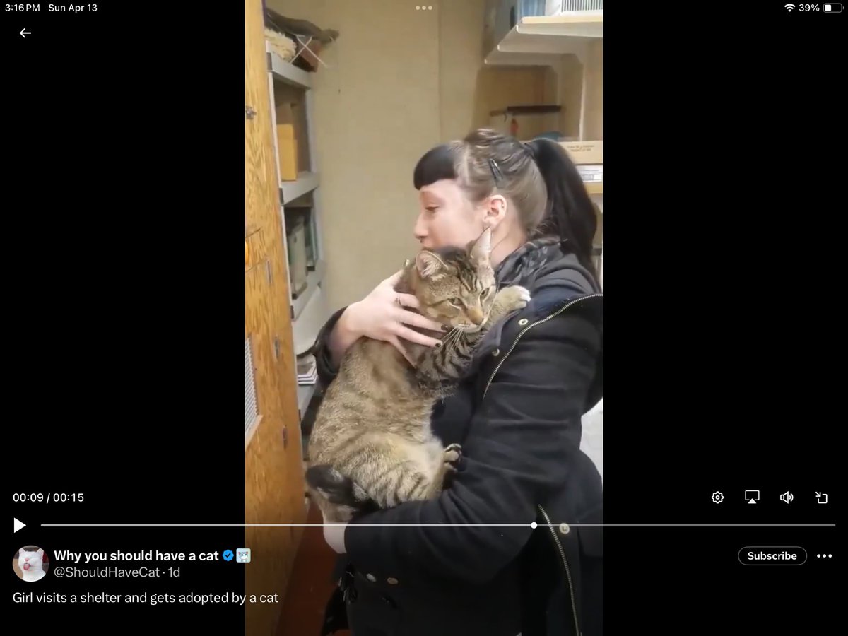 “Unacceptable” Kathy Friesen 🐰 tweet media